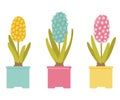 Set of hyacinths in pots. Beautiful spring potted flowers isolated on white background. Yellow, blue, pink flower. Vector Royalty Free Stock Photo