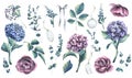 A set of hydrangea flowers, peony-shaped roses, decorative twigs with berries, eucalyptus, paper tags on strings and a
