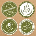 Set of hypoallergenic badges, icons, sticker layouts