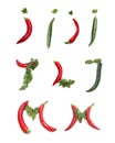 set of i j l m from green red chili pepper, carrot, salad, parsley letter. i with dots, I with point