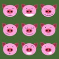 Set of icon with cheerful and cute piglets
