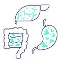 Set icon of liver, stomach and kidneys in a simple style. Banner on the effect of probiotics on human organism. Elements with