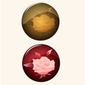 Set of icon retro style, rose button illustration Royalty Free Stock Photo