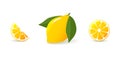 Set icon yellow Lemon ripe closeup. realistic yellow Lemon slice and half.