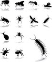 Set icons - 102. Insects Royalty Free Stock Photo