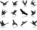 Set icons - 13. Birds Royalty Free Stock Photo