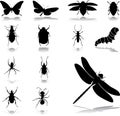 Set icons - 24. Insects Royalty Free Stock Photo