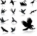 Set icons - 27. Birds Royalty Free Stock Photo