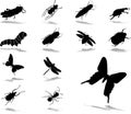 Set icons - 37. Insects Royalty Free Stock Photo