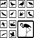 Set icons - 39B. Birds Royalty Free Stock Photo