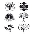 Set of Six Tree Nature Foliage Icons for Logo Design Vector Design Royalty Free Stock Photo