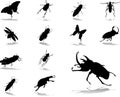 Set icons - 55. Insects Royalty Free Stock Photo