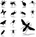 Set icons - 79. Insects Royalty Free Stock Photo