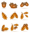 Set icons autumn oak acorns with leaves vector illustration Royalty Free Stock Photo