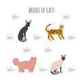 Set icons cartoon style of cat breeds. Cute characters for different design.