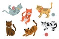 Set of icons with cats. Flat design vector. Variety breeds cats in different poses sitting, standing, stretching