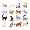 Set of Icons with Cats. Flat Design Vector.