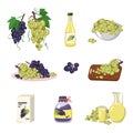 Set of icons of dark and light grapes and products from it