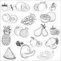 Set of icons drawn fruit.