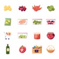 Set of Icons Farm Products Fresh Fruit, Vegetable and Eggs, Raw Fish and Frozen Veggies Royalty Free Stock Photo