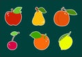 Set of icons fruit Royalty Free Stock Photo