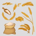Set of icons with golden wheat ears, dried grains, flour in linen sack and wooden scoop. Organic agricultural crop Royalty Free Stock Photo