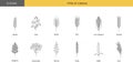 The set of icons of grain plants includes wheat, oats and barley, rye and corn, triticale and sorghum, buckwheat and