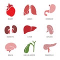 Set with icons of human organs. Vector