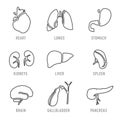 Set with icons of human organs. Vector