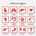 Infographics set of icons with human organs Royalty Free Stock Photo