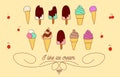 Set of icons of ice cream Royalty Free Stock Photo