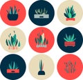 Set of icons of indoor flowers