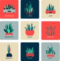 Set of icons of indoor flowers