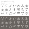 Set of icons of internal human organs in a glyph style isolated