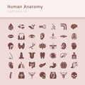 Set of icons of internal human organs in a linear style isolated