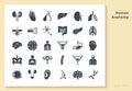 Set of icons of internal human organs in a linear style isolated