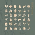 Set of icons of internal human organs in a linear style isolated