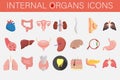 Set of icons of internal organs and parts of man Royalty Free Stock Photo