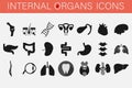 Set of icons of internal organs and parts of man