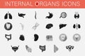 Set of icons of internal organs and parts of man