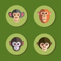 Set of icons with monkeys