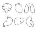 Set icons organs