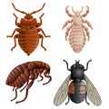 Set of icons with pests