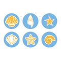 Set of icons of seashells and sea stars. Summer theme.