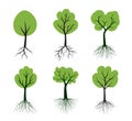 A set of Icons showing Trees with green leaves and roots. Illustration with vector outline. Plants in the garden. Bio elements.