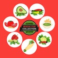 Set of icons. Spicy cuisine Royalty Free Stock Photo