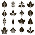 Autumn and summer tree leaves icons set black Royalty Free Stock Photo