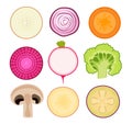 Set of Icons Vegetable Slices Pink and White Onion Rings, Carrot, Beetroot and Radish. Broccoli, Champignon Mushroom