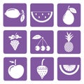 Set of 9 icons of white fruits