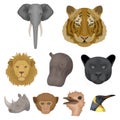 A set of icons of wild animals. Predatory and peaceful wild animals.Realistic animal icon in set collection on cartoon